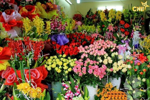 Kinh doanh hoa Tết
